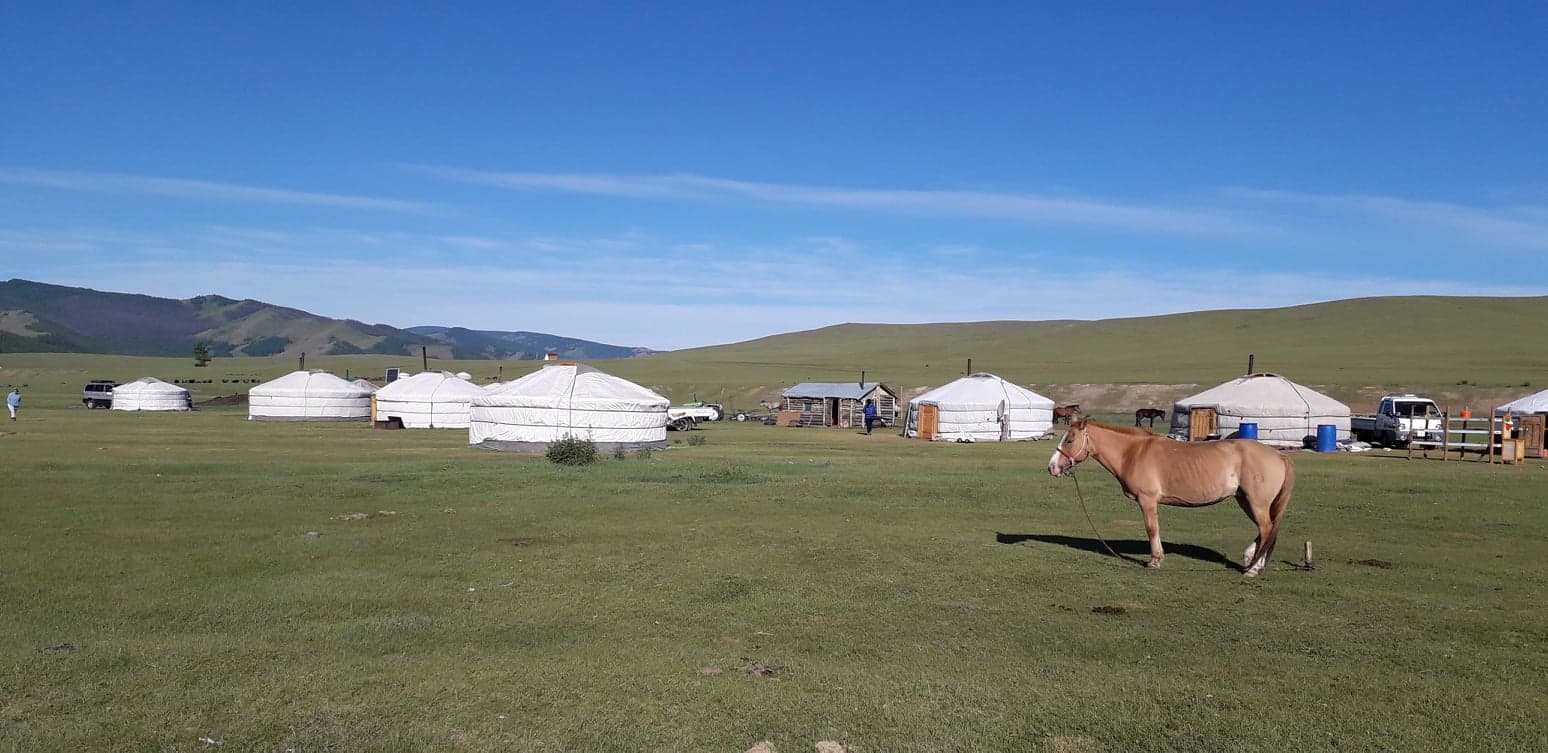 cheval et yourtes en Mongolie