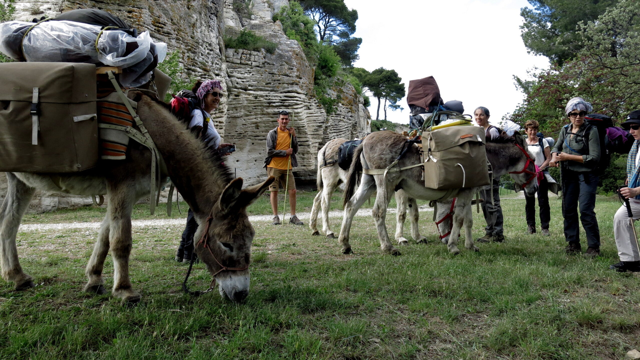 Séjour - Verdon - Âne - Nomadisme